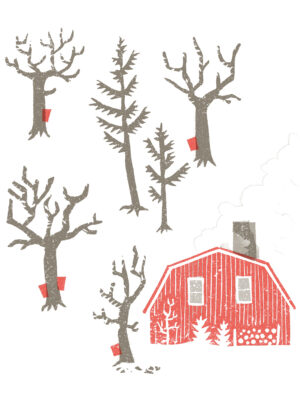 Cabane à sucre
